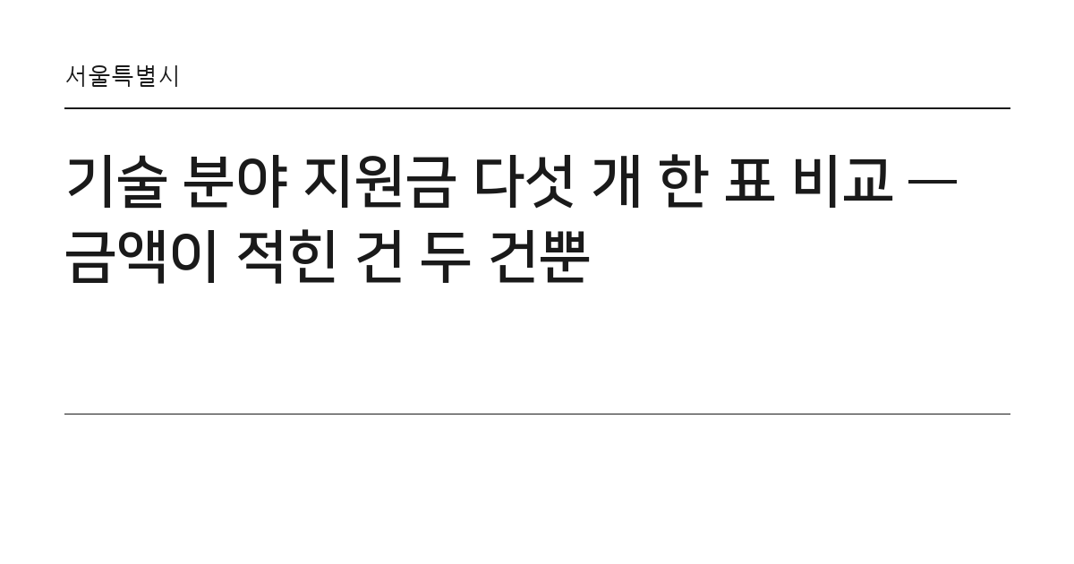 기술 분야 지원금 다섯 개 한 표 비교 — 금액이 적힌 건 두 건뿐 요약 카드 — 서울특별시
